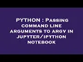 PYTHON Passing command line arguments to argv in notebook