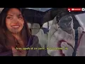 Doz - Tu n’es plus là ( Official Lyrics video )