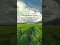 Download Lagu Campur Tangan Mertua #shorts #youtubeshorts #status #story #rumahtangga #motivasidiri #quotes #fyp