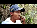 Download Lagu Lagu nona bunga Leksula#