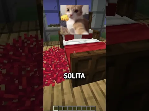 Calce duerme en el sofá 😱 #shorts #minecraft