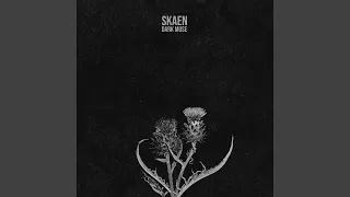 midnights fluttering veil