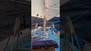 Down Wind ⛵️
