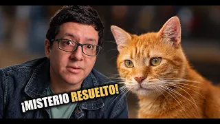 Misterio de los Gatos Naranjas Finalmente Resuelto
