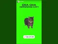 Download Lagu W\u0026W - OIIA OIIA (Spinning Cat) [Out Soon]