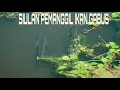 Download Lagu Siul ikan gabus volume besar, suara pemanggil ikan gabus