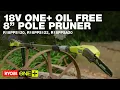 RYOBI 18V ONE 8 20cm Oil Free Pole Pruner R18PPS120 in action