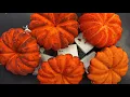 My beautiful Pumpkin Patch