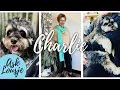 Download Lagu Vraag Lousje: Alles over Charlie