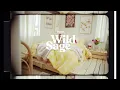 Wild Sage Bed Bath Beyond