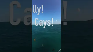 Tobago Cays paradise April 25, 2024