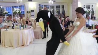 Penguine Dance 🐧🐧😉