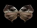 Lane 8 Fingerprint (Original Mix)
