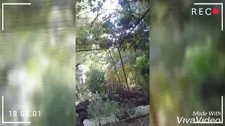 حالات واتس اب عن الضيعة بصوت حزين يبكي الحجر     دندنها