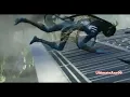 Avatar Blue Guy Falling Meme