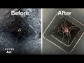 How Chimneys Are Professionally Swept And Cleaned Insider Art
