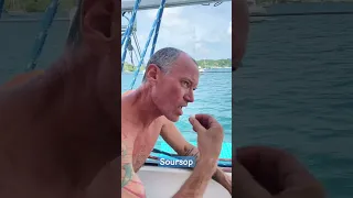 Trying Exotic Fruit from the Caribbean 🍈🌺🏝️ #travelfood #sailingaway #sailboatlife