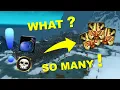 Champion s Seals and HOW LONG does it take