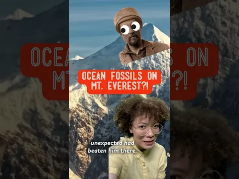 How did ocean invertebrates end up on Mt. Everest?!