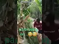 Lagu Orang gila