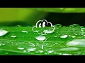 Sponge Cola - Di Na Mababawi (Lyrics)