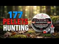 TOP 5 Best 177 Pellets For Hunting 2026