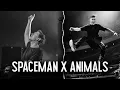 Download Lagu Animals X Call Me A Spaceman 🔥 - DJ vanix Mashup | Full version