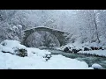 Download Lagu ❄ 10 HOURS of Beautiful Winter Scenes /Amazing Nature Scenery \u0026 The Best Relax Music #1