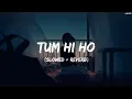 Download Lagu Tum Hi Ho  Lyrics (Slowed + Reverb)