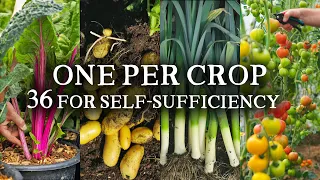 My Variety for Every Crop 36 Vegetables for Self-Sufficiency
