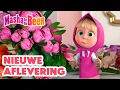 Download Lagu Masha en de Beer 👱‍♀️🐻 Nieuwe aflevering 🌟 Lach naar de camera! 📷🍰 Aflevering collectie