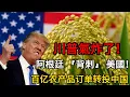 Download Lagu 川普氣炸了！阿根廷 「背刺」美國，20船大豆餵飽中國，再搶美國高粱市場！
