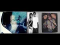 Last Photos - Last Memories of Aaliyah Aaliyah Dana Haughton