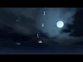 اليسا - سهرنا يا ليل  .. روائغ