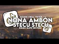 Download Lagu DJ NONA AMBON PICA PICA X STECU STECU V3 REMIX TERBARU 2025!
