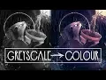 Why start in BLACK AND WHITE PROCESS Medibang Paint Pro