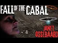 The Disappearance of Janet Ossebaard