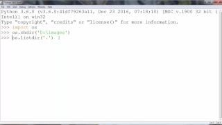 Python tutorial - How to Rename Files in Python
