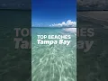 Download Lagu Beach Paradise: Tampa Bay 🏝️