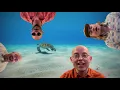 Bombay Bicycle Club - Terrapin Station