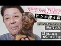 Download Lagu 【坂上家】ピンが闘う病・シニアなきょうだいたちとの向き合い方 etc...