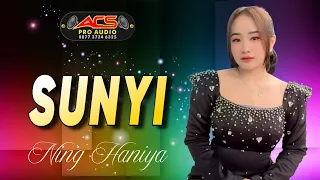 sunyi ning haniya acs pro audio