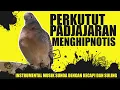 Instrumental Musik Sunda dengan Kecapi dan Suling Dipadukan Suara perkutut lokal