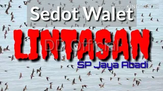 lintasan walet pakai suara ini 