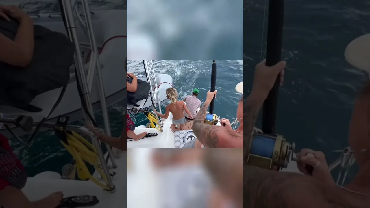 Catamaran Crew vs. GIANT Fish! You Won’t Believe What Happens!