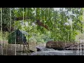 Download Lagu Camping in Heavy Rain All Day by the River: Can We Survive?