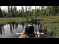 Download Lagu Рыбак добрался до нехоженых мест и ОФИГЕЛ. Рыбалка на спиннинг на лесной реке. Сплав по таёжной реке