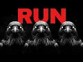Why Apex Predators Are Still Afraid of Crows