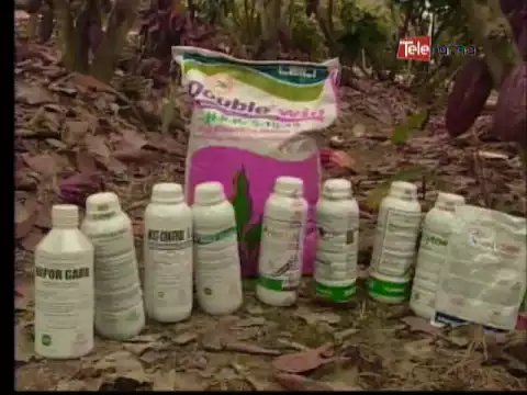 Ecuador Agropecuario 03-10-2016