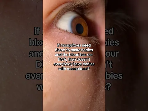 I HAVE BABY MOSQUITO 🦟